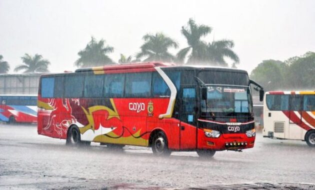 Bus tegal Cirebon PO Coyo