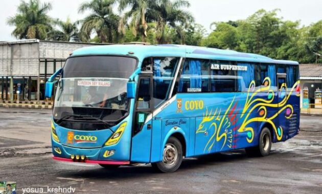 Bus tegal Cirebon