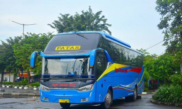 Bus PATAS Jaya Utama