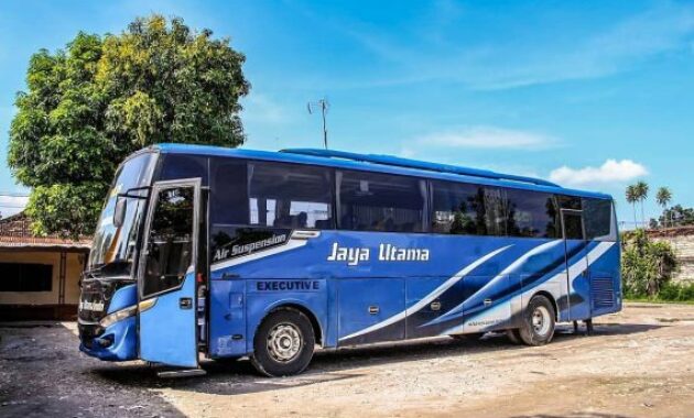 Bus Eksekutif Jaya Utama