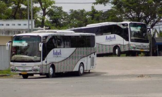 Bus AKAP Andhora Line
