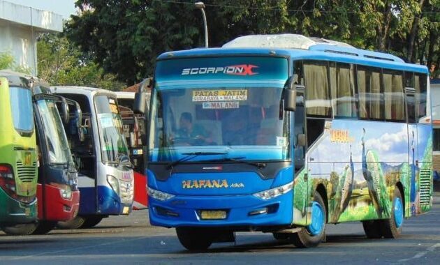 Bus Scorpion X