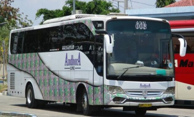 Bus Andhora Line