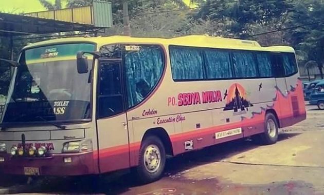 Bus Sedya Mulya