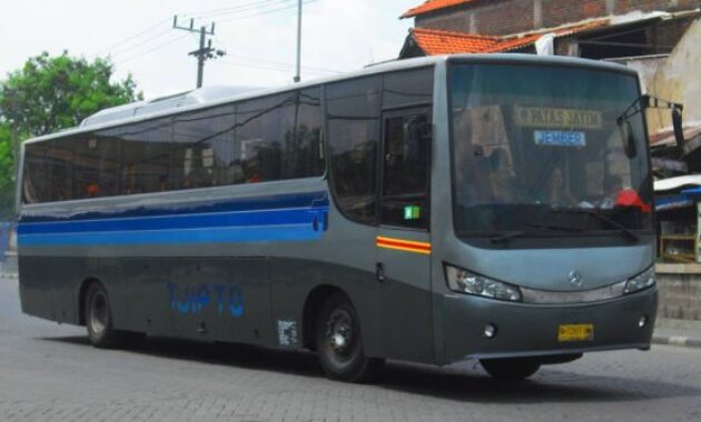 Bus Tjipto