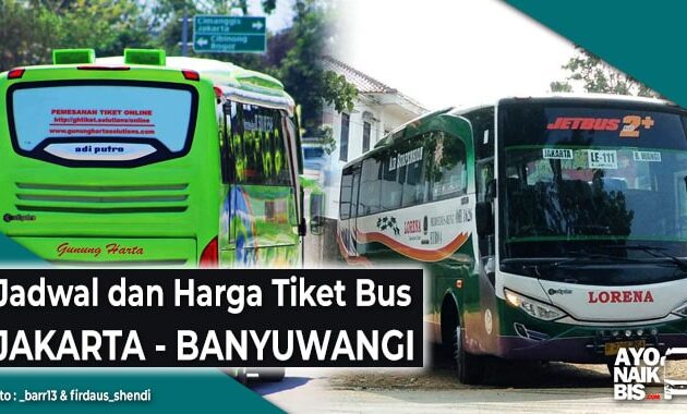 Harga Tiket Bus Jakarta Banyuwangi