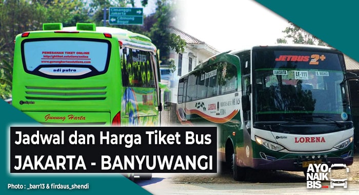 Harga Tiket Bus Jakarta Banyuwangi