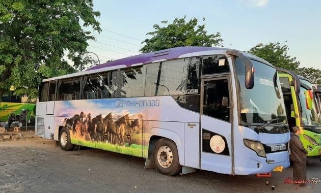 Bus Wisata Komodo