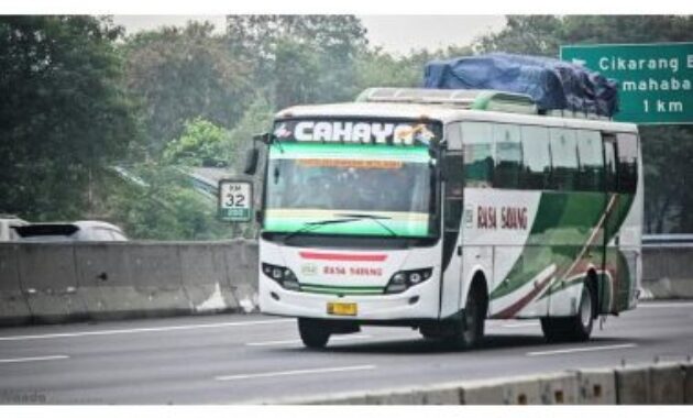 Bus Evo C Rahayu Santosa