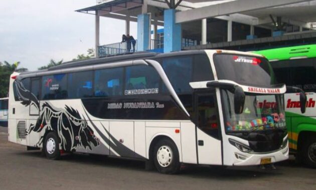 Bus  Malang Denpasar