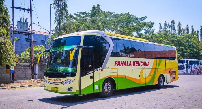 Bus Pahala Kencana AKAP Lampung