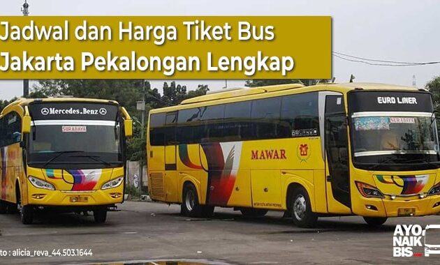 Harga Tiket Bus Jakarta Pekalongan