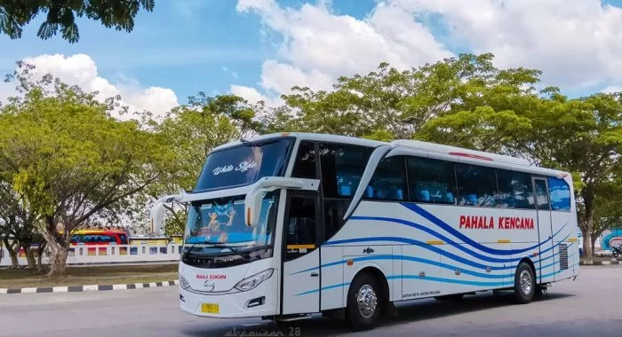 Bus Pahala Kencana Palembang