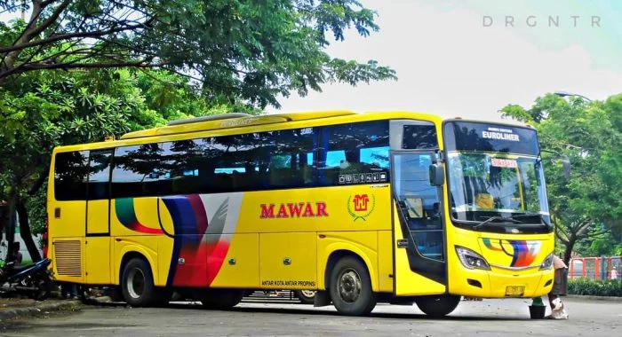 Bus Mawar Jakarta Pekalongan