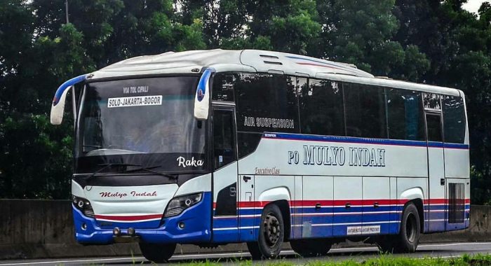 Bus Mulyo Indah