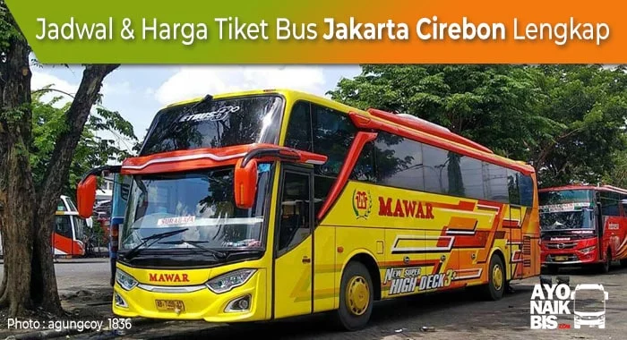 Harga Tiket Bus Jakarta Cirebon