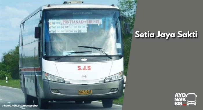 Bus Setia Jaya Sakti (SJS)