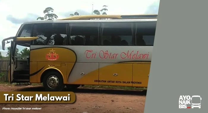 Bus Royal Tri Star Melawi (TSM) Brunei