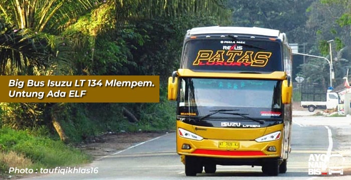 Big Bus Isuzu LT134