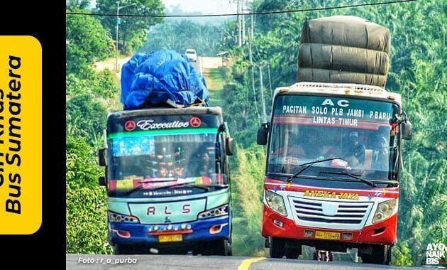 Ciri khas Bus Sumatera