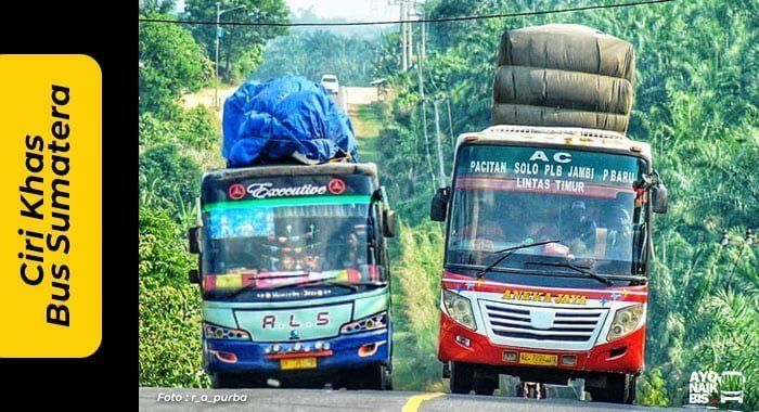 Ciri khas Bus Sumatera