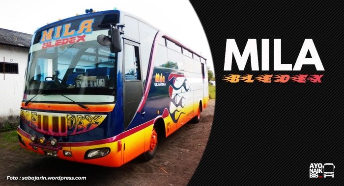 Bus Mila Bledex