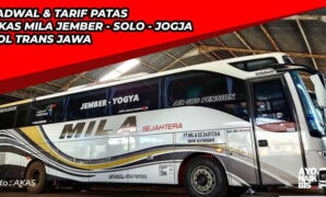 Tarif bus Jember