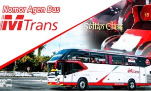 Agen Bus MTrans