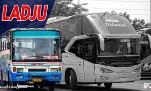 Bus Ladju Pasuruan