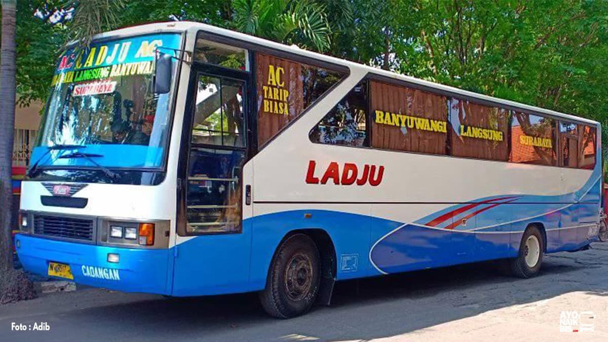 Bus Ladju Great Panorama