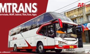 Bus Mtrans