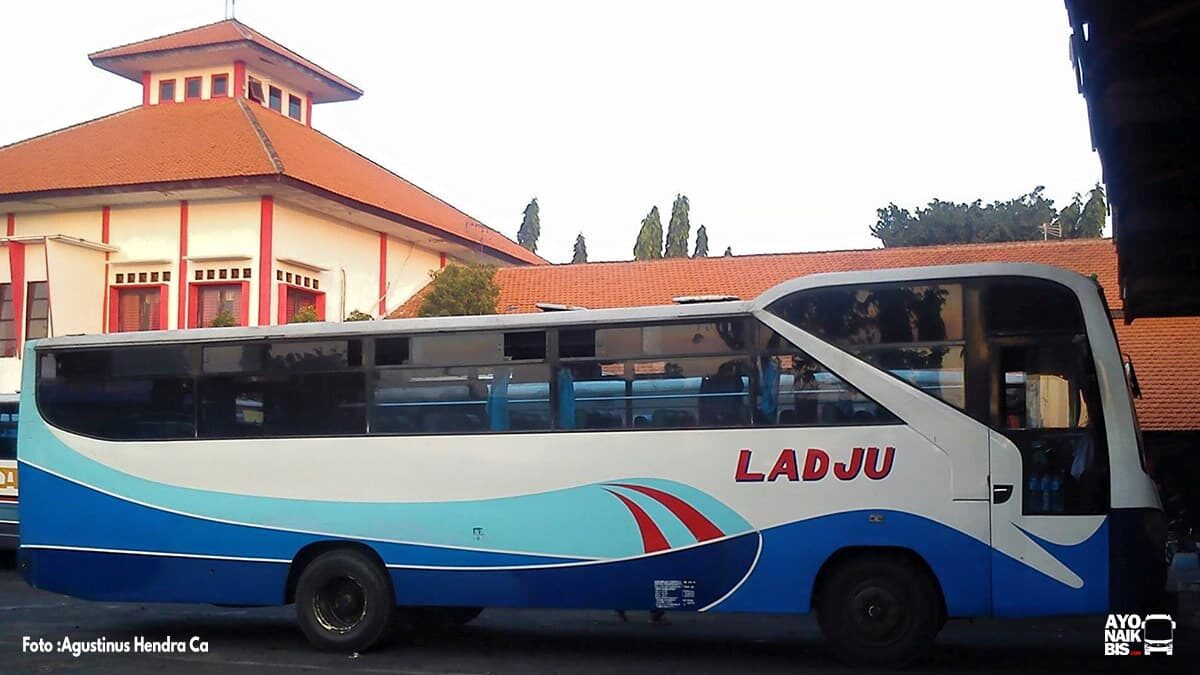 Bus Louhan Ladju