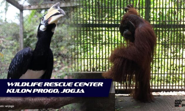Wildlife Rescue Center Kulon Progo