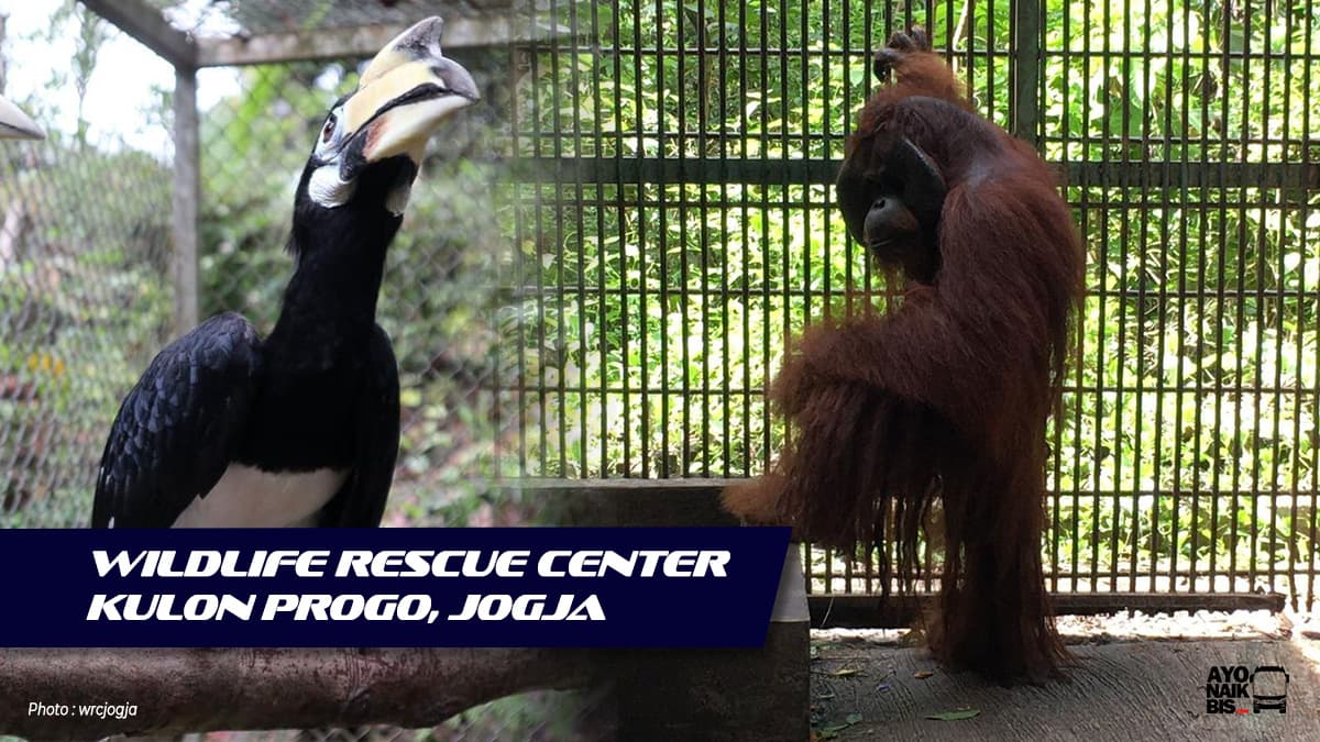 Wildlife Rescue Center Kulon Progo