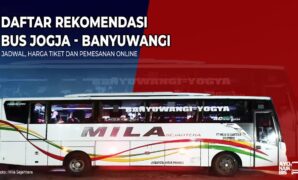 Bus Jogja Banyuwangi