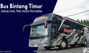 Bus Bintang Timur