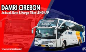 Bus Damri Cirebon