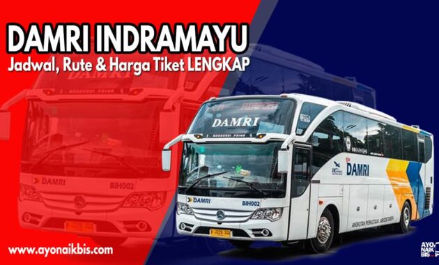 Bus Damri Indramayu