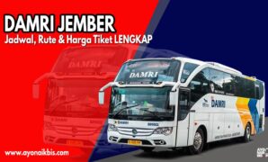 Damri Jember