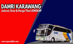 DAMRI KARAWANG