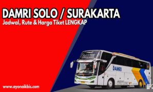 DAMRI SOLO