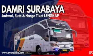 Damri Surabaya