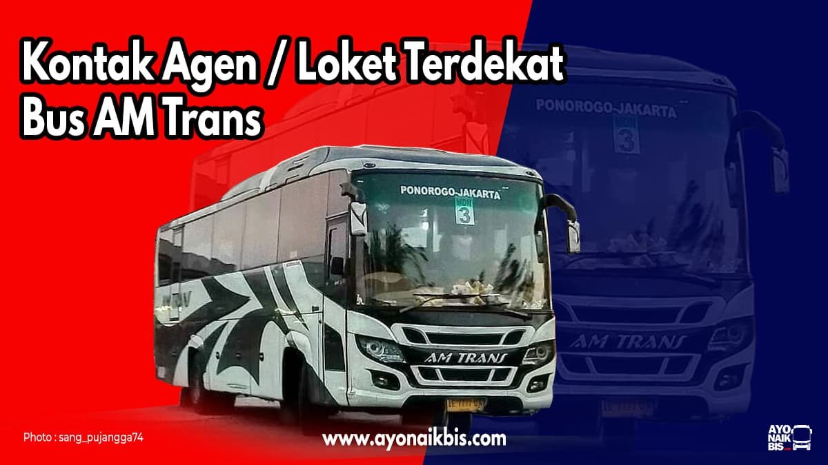 Agen bus AM Trans