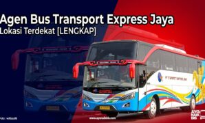 agen bus transport express