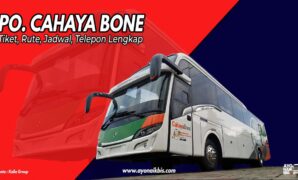 Bus Cahaya Bone