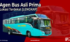 Agen Bus Asli Prima