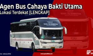 Agen Bus CBU