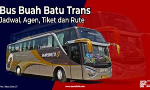 Bus Buah Batu Trans