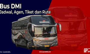 Bus DMI