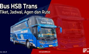 Bus HSB Trans